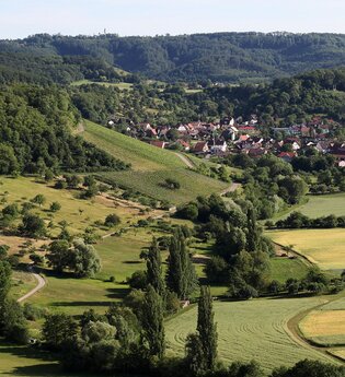 Weinlandschaft Obersulm mit Blick in die Löwensteiner Berge | HeilbronnerLand | © Tourismus im Weinsberger Tal