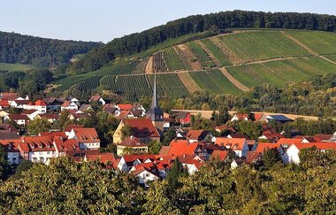 Sülzbach | Obersulm | HeilbronnerLand | © Tourismus im Weinsberger Tal