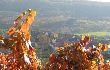 Sachsenheim | © Stadt Sachsenheim