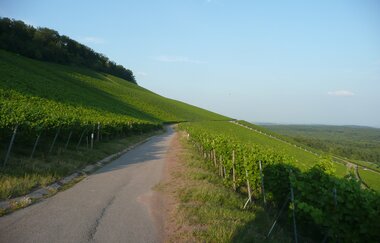 Sachsenheim | © Stadt Sachsenheim