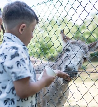 Kinder füttern Esel im Tierpark Schwarzach | © Stadt Sinsheim
