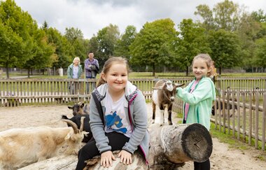 Streichelzoo im Wildpark Schwarzach / Odenwald | © Touristikgemeinschaft Odenwald e.V.