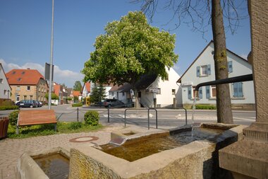 Siegelsbach | HeilbronnerLand | © Gemeindeverwaltung Siegelsbach