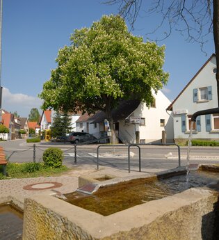 Siegelsbach | HeilbronnerLand | © Gemeindeverwaltung Siegelsbach