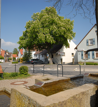 Siegelsbach | HeilbronnerLand | © Gemeindeverwaltung Siegelsbach