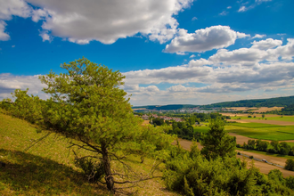 Steinsfeld | © Liebliches Taubertal