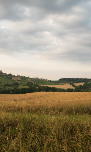 Burg Ravensburg | © Kraichgau-Stromberg Tourismus e.V. | Ulrike Klumpp