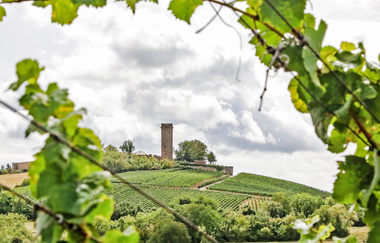 Burg Ravensburg im Fokus | © Thomas Rebel