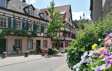 Fachwerkhäuser an einer Straße mit Bepflanzung. | © Jasmin Wolf