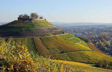 Weibertreu Weinsberg | Weinsberg | HeilbronnerLand | © Tourismus im Weinsberger Tal