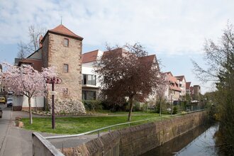 Wiesloch