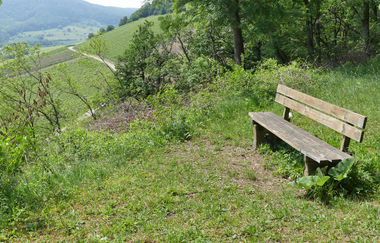 "Lug ins Land" | © Stadt Sachsenheim