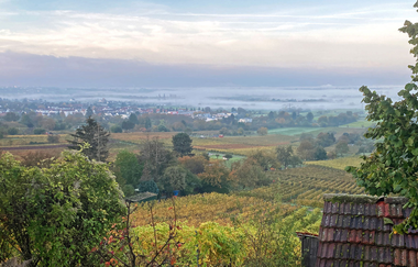 Blick auf Weinheim in Abendsonne | © Dieter König