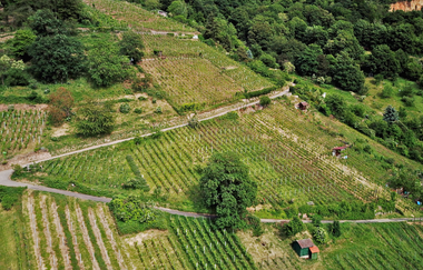 Luftaufname des Weinbergs | © Dieter König