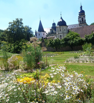 Im Garten blühen Arzneipflanzen und man kann auf das Kloster schauen | © Touristikgemeinschaft Hohenlohe e. V. | Hohenloher Gartenparadies