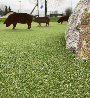 An einer Station stehen stilisierte Schweine und ein großer Stein | © Touristikgemeinschaft Hohenlohe e. V. | Adventuregolf Schwabbach