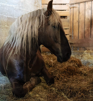 Agro GbR Wunderlich | © TMBW