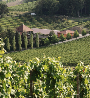 Akkuladestation - Weingut Benz | © © Weingut Benz