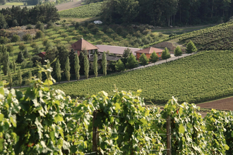 Akkuladestation - Weingut Benz | © © Weingut Benz