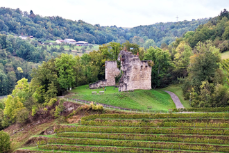 Burgruine Lichteneck oberhalb von Ingelfingen | © Touristikgemeinschaft Hohenlohe e. V.