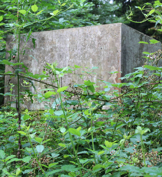 Prinz-Alexander-Grab | © Hohenloher Perlen