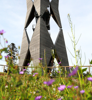 Altenbergturm mitten in einer Wiese und im Vordergrund Blumen in der Farbe Lila | © Hohenlohe Schwäbisch Hall