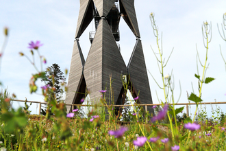 Altenbergturm mitten in einer Wiese und im Vordergrund Blumen in der Farbe Lila | © Hohenlohe Schwäbisch Hall