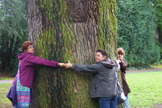Älteste und größte Libanonzeder in Deutschland | © Landratsamt Rhein-Neckar-Kreis
