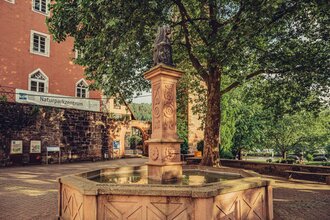 Blick auf das Naturparkzentrum in Eberbach | Eberbach | Odenwald | © Touristikgemeinschaft Odenwald e.V.