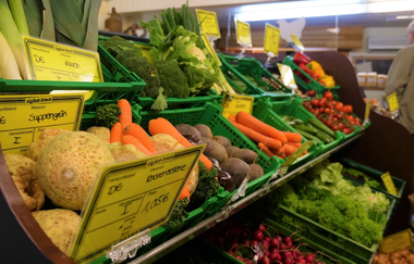 verschiedenstes Gemüse