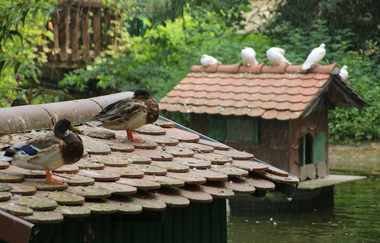 Angelbach-Tierpark in Rauenberg | © Landratsamt Rhein-Neckar-Kreis