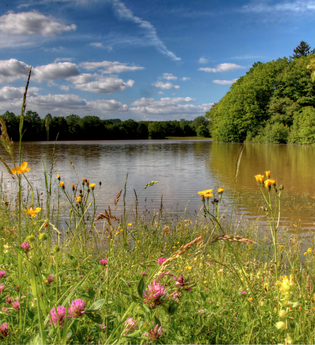 Michelbachsee | Zaberfeld | HeilbronnerLand | © Gemeinde Zaberfeld