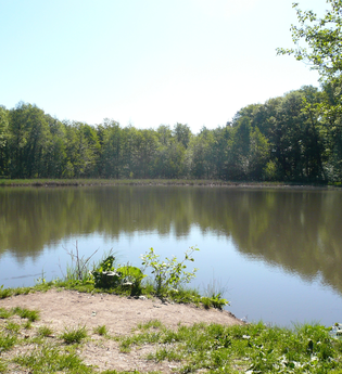 Annasee Beilstein | HeilbronnerLand | © Touristikgemeinschaft HeilbronnerLand e.V.