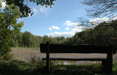am Annasee | Beilstein | HeilbronnerLand | © Touristikgemeinschaft HeilbronnerLand