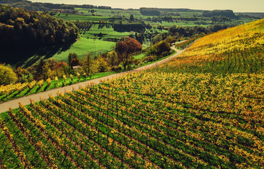 Schmidbachtal | Beilstein im Naturpark Schwäbisch-Fränkischer Wald | HeilbronnerLand | © Touristikgemeinschaft HeilbronnerLand