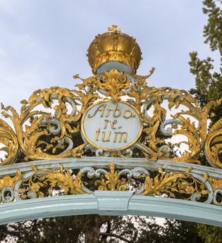 Arboretum im Schlossgarten Schwetzingen | © Tourist Information Schwetzingen