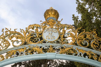 Arboretum im Schlossgarten Schwetzingen | © Tourist Information Schwetzingen