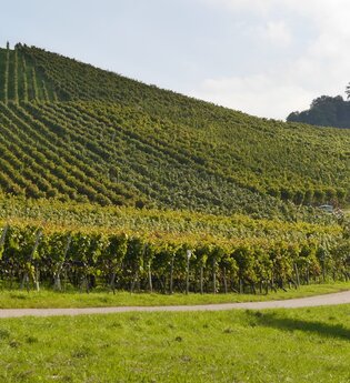 Augenberg | © Gemeinde Sternenfels