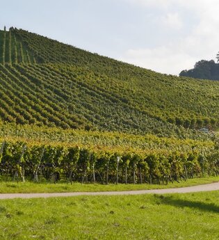 Augenberg | © Gemeinde Sternenfels