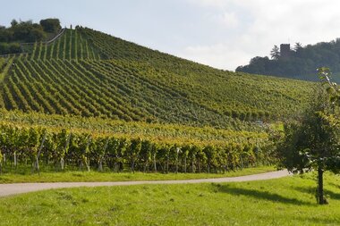 © Gemeinde Sternenfels