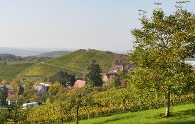 Augenberg | © Gemeinde Sternenfels