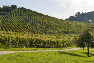 Augenberg | © Gemeinde Sternenfels