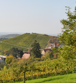 Augenberg | © Gemeinde Sternenfels