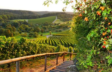 Augenberg | © Gemeinde Sternenfels