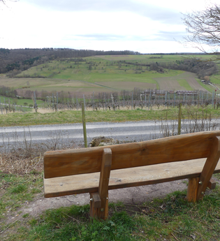 Aussicht vom Heiligenbergsee | © Land der 1000 Hügel - Kraichgau-Stromberg