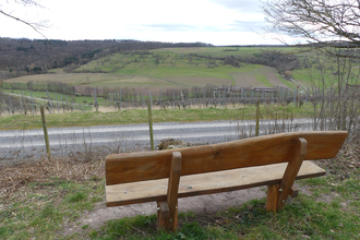 Aussicht vom Heiligenbergsee | © Land der 1000 Hügel - Kraichgau-Stromberg