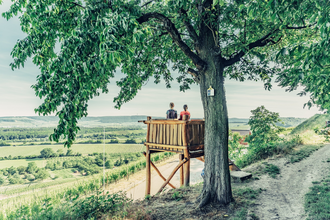 Aussichtskanzel am Zweifelberg | © Touristikgemeinschaft HeilbronnerLand e.V.