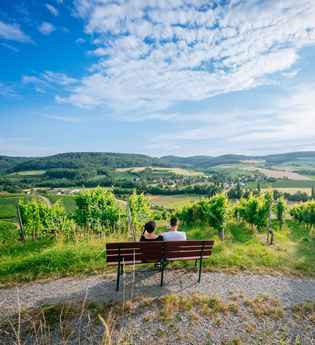 Wunderbarer Weitblick ins Steinbacher Tal | © Hohenloher Perlen