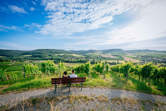 Wunderbarer Weitblick ins Steinbacher Tal | © Hohenloher Perlen