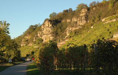 Terrassenweinberge bei Lauffen am Neckar | HeilbronnerLand | © Touristikgemeinschaft HeilbronnerLand e.V.